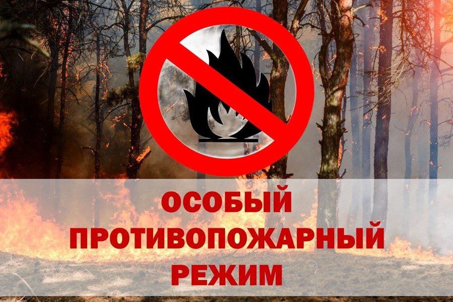 Особый противопожарный режим в Ровенском районе