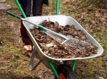 «Зеленая Россия» собирает в свои ряды все больше участников