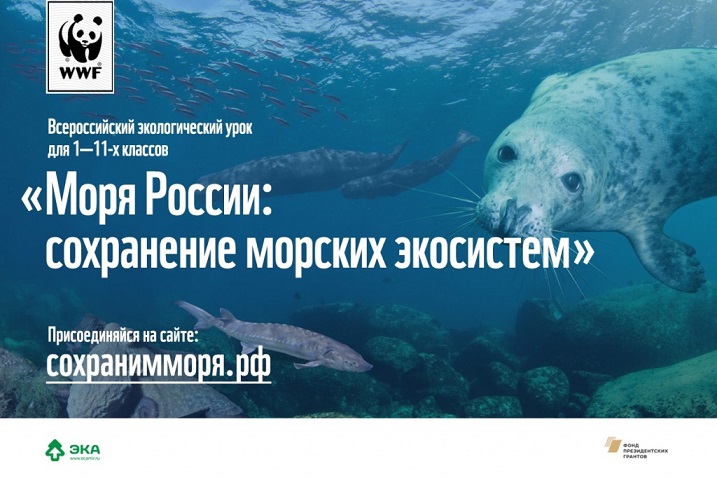 Всероссийский экологический урок "Моря России: угрозы и сохранение"