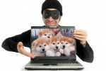 Полиция информирует о мошеннических схемах в сфере продажи породистых животных