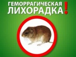 Минздрав области призывает жителей соблюдать меры профилактики геморрагической лихорадки с почечным синдромом