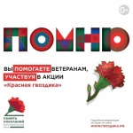 Благотворительная акция «Красная Гвоздика»