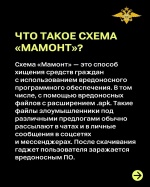   Осторожно: схема «Мамонт» в сети