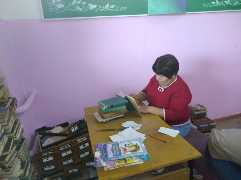 Идёт проверка книжных фондов.