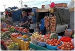 Саратовская область полностью обеспечивает себя основными видами плодоовощной продукции.