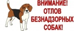 График отлова животных без владельцев 