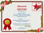 Межрегиональный сетевой проект "Славный День Победы"