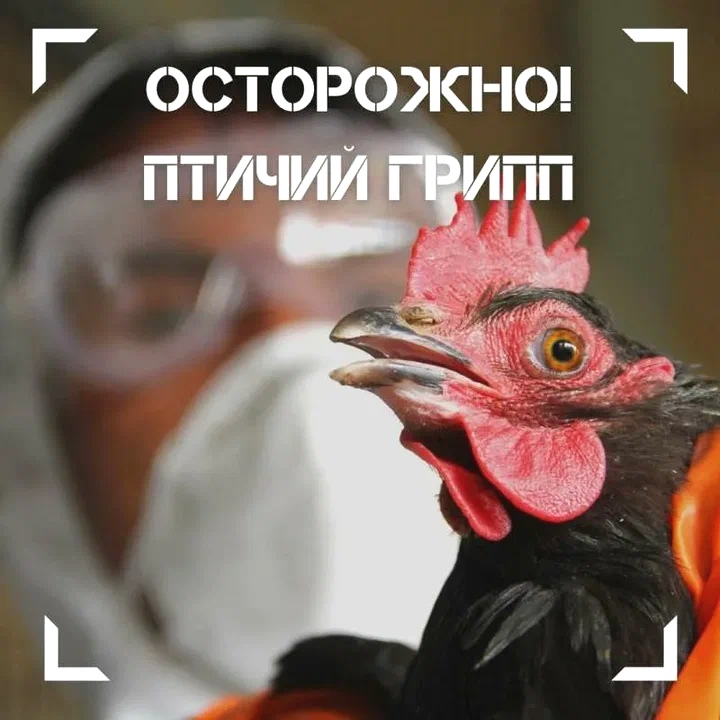 Вниманию жителей Ровенского района!