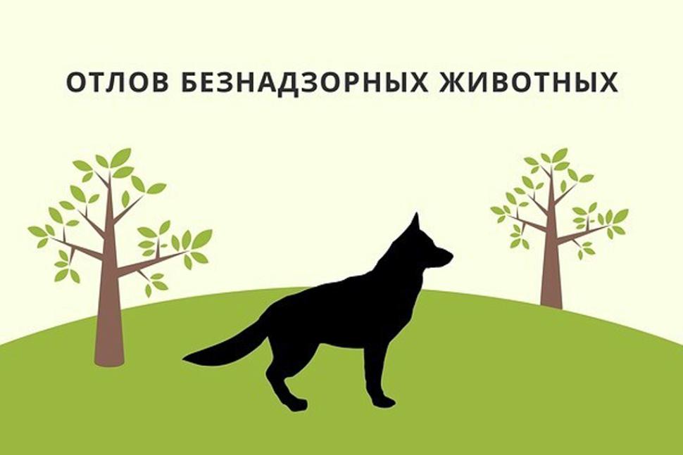 График планового 