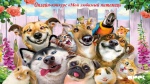 Домашний питомец 