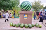 В Ровенском районе прошёл традиционный фестиваль арбузов