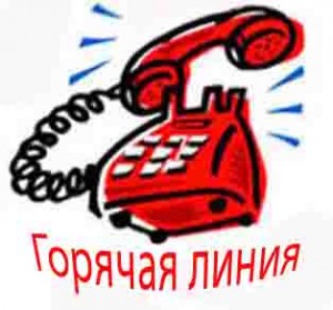 Работает «горячая линия» для обращения граждан 