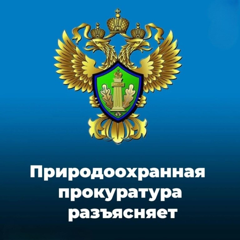 Саратовская межрайонная природоохранная прокуратура разъясняет законодательство о рассмотрении обращений граждан