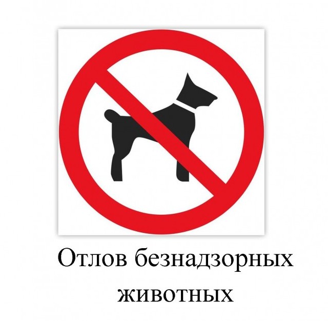 Вниманию жителей  Ровенского района!