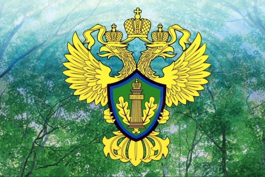 Личный прием граждан по вопросам исполнения природоохранного законодательства.