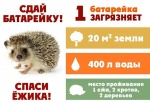 Молодая гвардия Единой России