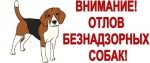 График планового отлова животных без владельцев на территории Ровенского муниципального района Саратовской области на IV квартал 2026 года