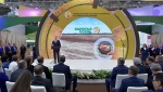 Выставка «Золотая осень» 