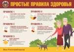 Роспотребнадзор: 5 правил по профилактике гриппа