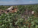 МКУ "Благоустройство" постоянно ведёт работу по выявлению и ликвидации несанкционированных свалок.