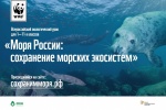 Всероссийский экологический урок "Моря России: угрозы и сохранение"