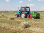 О ходе уборочной кампании в Ровенском районе