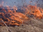 Пожароопасный период 2016 на территории Ровенского района