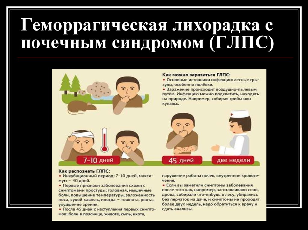 Отдыхая на природе, помните о необходимости соблюдения мер по профилактике геморрагической лихорадки с почечным синдромом.