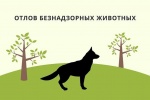 График планового 