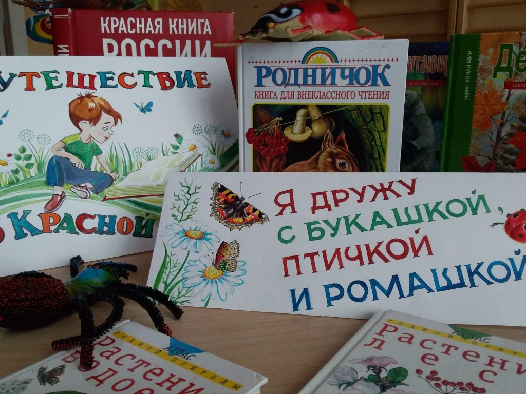 «Я дружу с букашкой, птичкой и ромашкой»