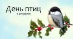 «Наши пернатые друзья».