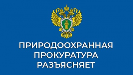 Саратовский межрайонный природоохранный прокурор разъясняет