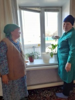 Акция «Чистые окна».