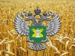 Руководитель Управления Россельхознадзора по Саратовской области