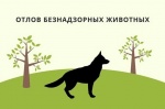 График планового отлова животных без владельцев на территории Ровенского муниципального района Саратовской области на II квартал 2026 года