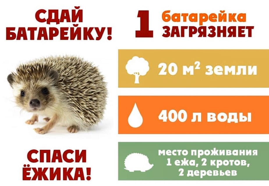 Молодая гвардия Единой России