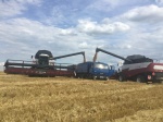 Итоги работы АПК Ровенского района за 12 месяцев 2017года