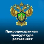 Саратовская межрайонная природоохранная прокуратура разъясняет законодательство о рассмотрении обращений граждан