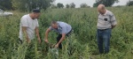 Осуществляются мероприятия по отбору овощной и бахчевой продукции.