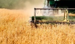  Информация о  ходе  проведения полевых работ   на 5.05.2022 года.