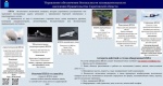 Правительства Саратовской области информирует