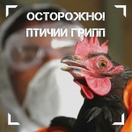 Вниманию жителей Ровенского района!