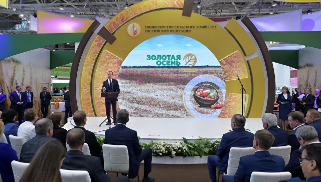 Выставка «Золотая осень» 