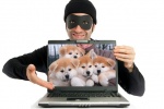 Полиция информирует о мошеннических схемах в сфере продажи породистых животных