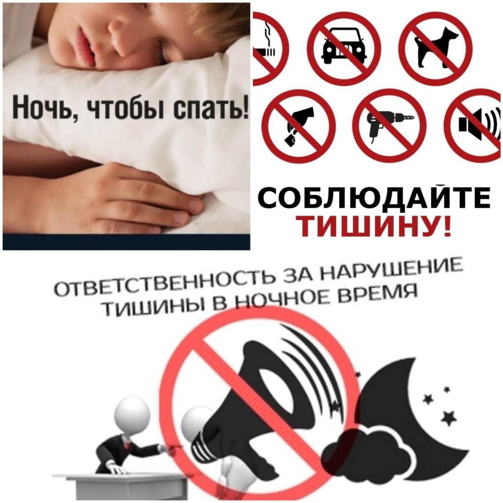 «Профилактика нарушения тишины и покоя граждан».