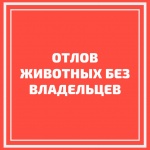 График планового отлова животных без владельцев