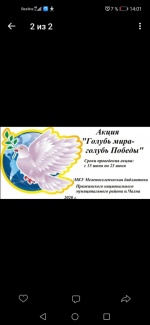Участники и победители сетевых акций ко Дню Памяти и скорби.