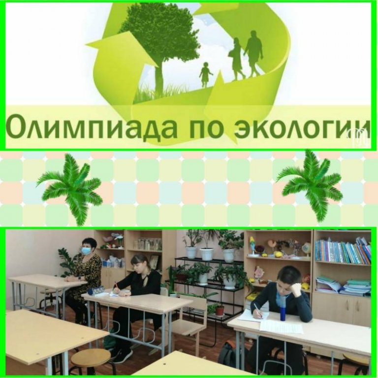 Итоги всероссийской олимпиады школьников  на территории Ровенского муниципального района