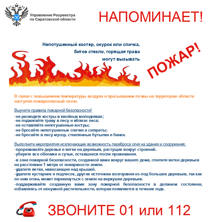 01.04.2025_картинка.png