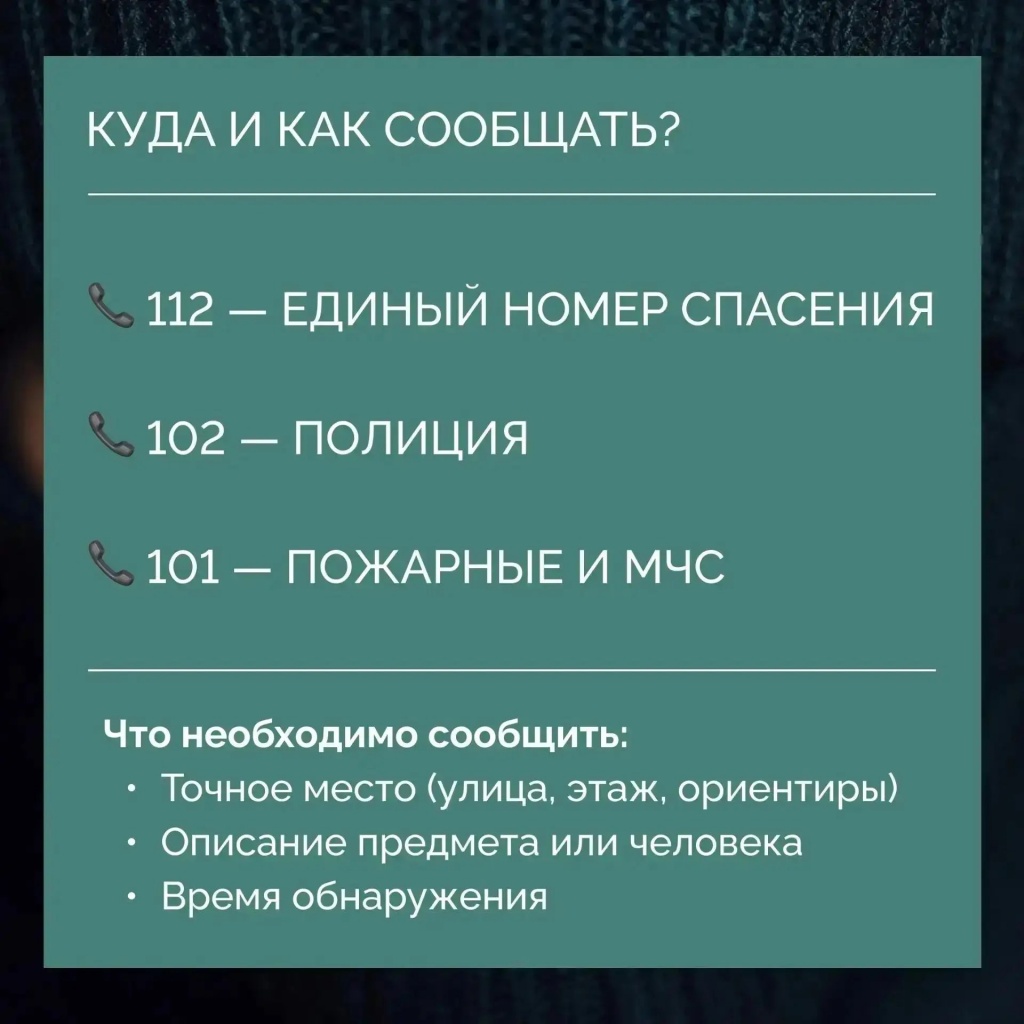 86e2d6f7-f3a5-4541-8878-8524ca0cf927.jpg